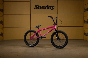 Sunday Blueprint (SURF PINK) (20.5